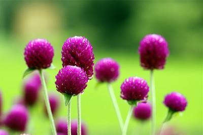 2021年牛年辞旧迎新贺词大全