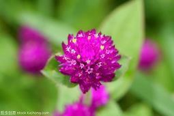 朋友圈心情失落的伤感说说带图片，看完哭了