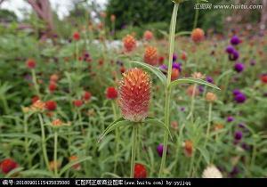 进退消长