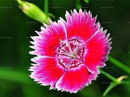 中秋节祝福语大全简短给自己喜欢的人(精选31条)