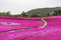 屛