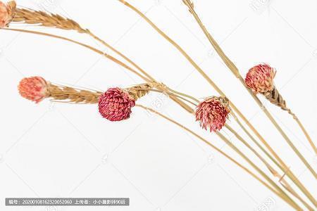 刂