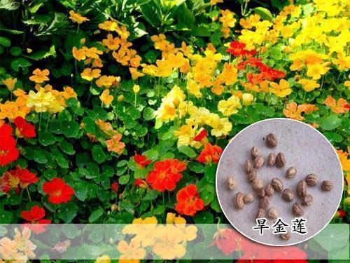 人心太假现实短句 一句话凉透人心的句子(精选72句)