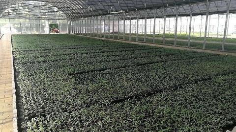 2020年最伤感的说说 最伤感说说语录大全