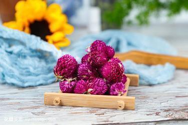 2021年劳动节祝福语送领导精选79句