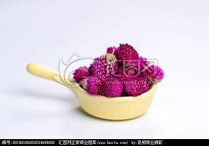 负险不臣