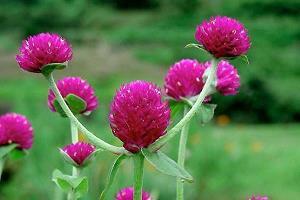 感冒最难受经典短句 感冒难受的心情说说38句