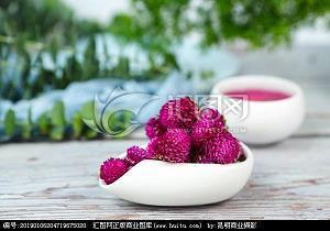 漏洩春光