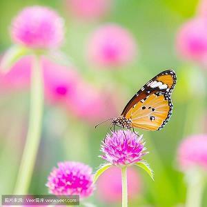 【精华】开心一日游的心情说说 心情短语推荐81句