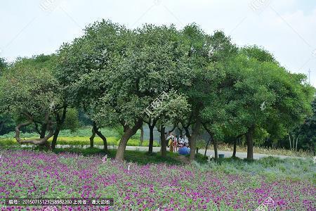 2020年喜迎感恩节暖心简短的祝福语