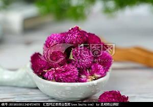 译文