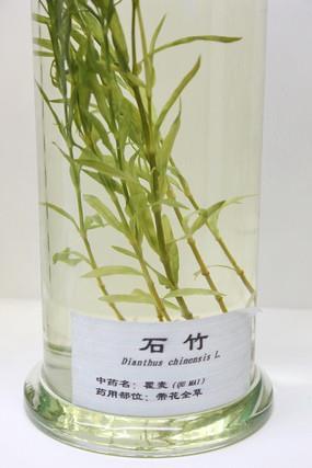 脆弱的心害怕受伤的心情短语_生日高兴的心情短语