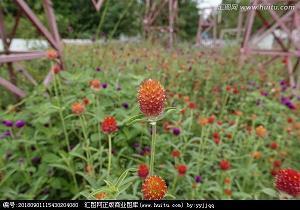 神昏意乱