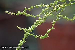 写一段无能为力心痛的话(精选35句)