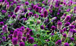 女人买衣服的经典句子 关于女人买衣服的说说(精选10句)