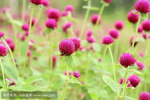 2021年中秋节适合发朋友圈的说说(精选99条)