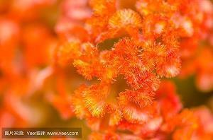 2020万圣节恶搞整人短信大全