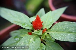 零零碎碎