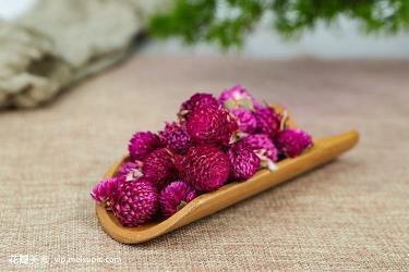 早上发圈正能量句子24句