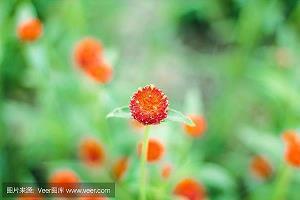 黾塞