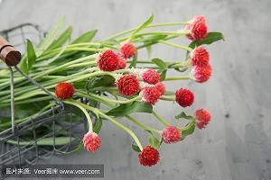 教师节朋友圈走心文案(精选72句)