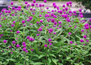 形容在一起玩的很开心的句子 开心相聚的句子