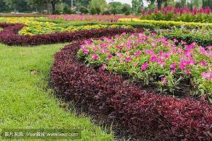 节能环保标语