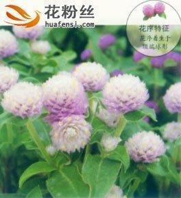 穓