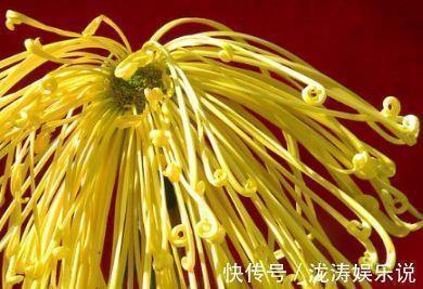 工作受到挫折后励志的说说句子