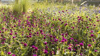 2021元旦祝福语简短创意 关于快到2021年的祝福语