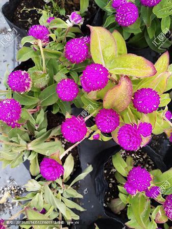 2021最新小年夜说说心情文案