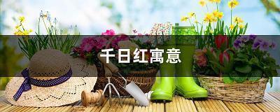 2021网上最火最潮短句说说(精选41句)