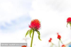 穷黎