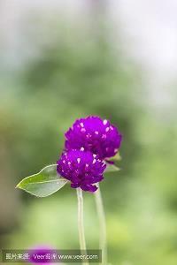 发朋友圈的晚安心情不好的句子106句