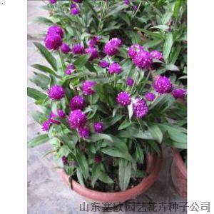 2020中秋节给弟弟的祝福语