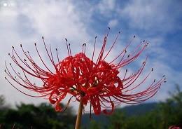 早上好阴天问候语_早上好伤感句子