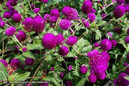 心情很不好的说说短语大全 心情超级不好的说说(精选34句)