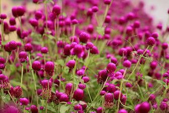 节约用水安全标语