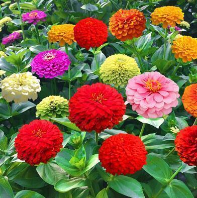 悲伤的让人心疼心情说说