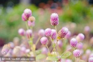 逸闻琐事