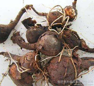 调整心态的正能量句子 看看就有好心情