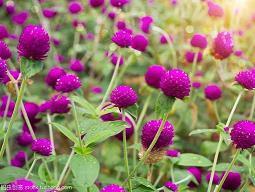 工作正能量的句子