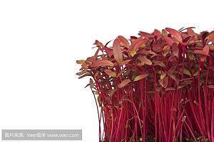 新年跨年夜祝福语短信大全_最新最全的跨年祝福语(精选48句)