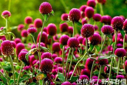 头晕难受的心情说说