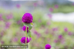簾