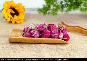 琹