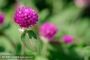 乔布斯经典语录