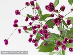 关于疫情过后只想好好挣钱的说说短语句子朋友圈(精选19句)