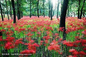飨馈