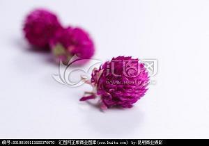 掅